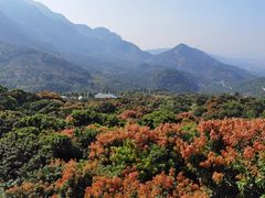 -广州市石门国家森林公园