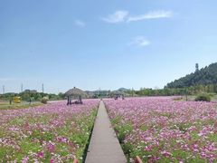 -径山花海