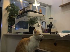 -WATER CAFE(广厦店)