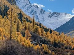 -亚拉雪山风景区