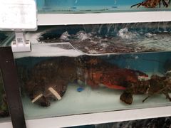 -盒马X会员店(王府井奥莱UP TOWN店)