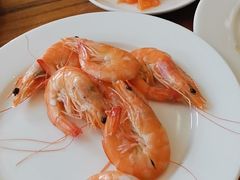 -济南喜来登酒店-盛宴自助西餐厅·综合自助