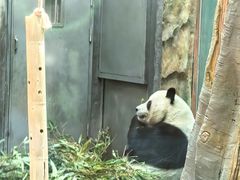 -青藏高原野生动物园