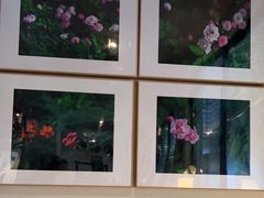 -花迹(富春江东街店)