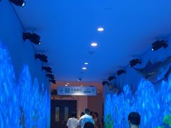 -深海中餐厅(国家海洋博物馆店)