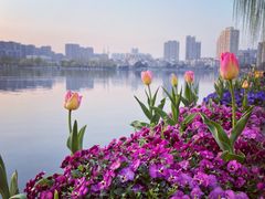 -莫愁湖公园