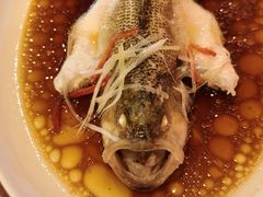 -古南都·老广东酒楼(龙江店)