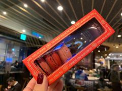 -TWG Tea(台北101购物中心沙龙及精品门市)