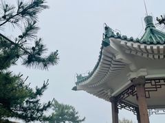-青岛海滨风景区小鱼山