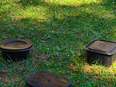 -鹞子沟国家森林公园