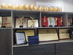 -舞蕾舞蹈(特长生校区)