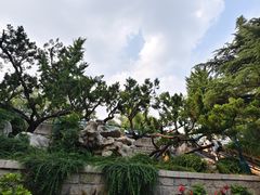 -环城公园