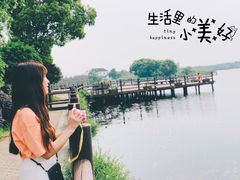 -鹅湖玫瑰文化园