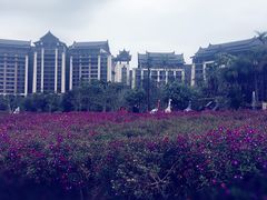 -清远熹乐谷温泉度假酒店