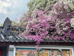 -深圳国际园林花卉博览园