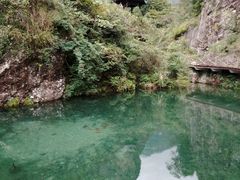 景点-雁荡山风景名胜区-小龙湫