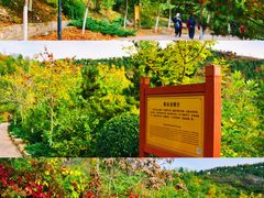 -沉浸北京·团建旅行·密室剧本杀·年会会议轰趴拓展