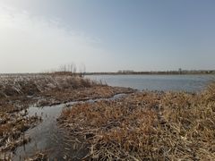 -绿堤公园