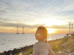 -宝安西湾红树林湿地公园