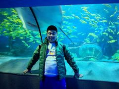 -太平洋海底世界