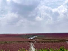 -红海滩国家风景廊道