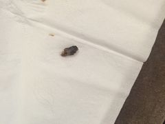 -铭洋专业采耳(田子坊店)