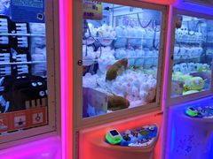 -星际传奇(观澜湖新城店)