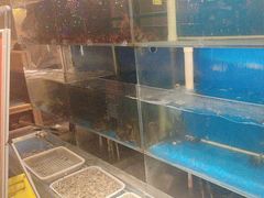 -小俩口烧烤东北菜(双井店)