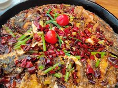 -老板恋上鱼(恒隆广场店)