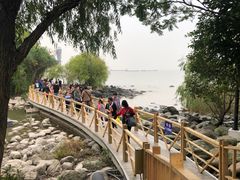 -半岛公馆(淞兴西路店)