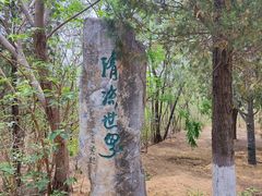 -云岗森林公园