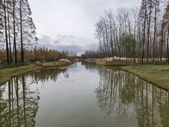 -黄海国家森林公园