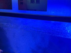 -鱼酷活鱼烤鱼(静安大融城店)