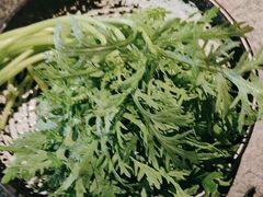 -湊湊火锅·茶憩(皇姑万象汇店)