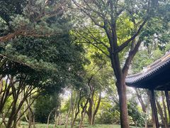 -上海方塔园