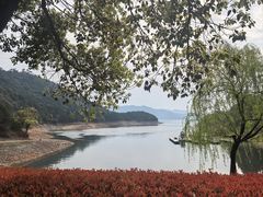 -逸廊大堂吧-下午茶·简餐-千岛湖自由洲际殿