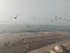 -星海广场