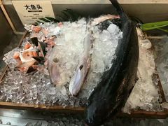 -渔家火锅·海鲜自助餐·演艺(亚龙湾天域酒店)