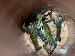 -虾胡闹龙虾馆(湄南河店)