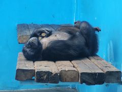 -北京野生动物园