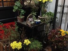 iphone_upload_pic-良友书坊(安徽路店)