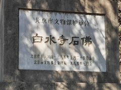 -白水寺森林公园
