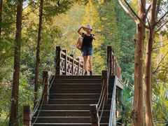 -桤木河湿地公园