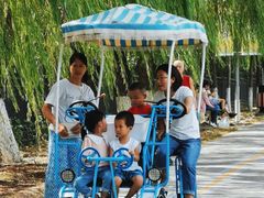 -永定河休闲森林公园