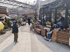 -京北渔家傲