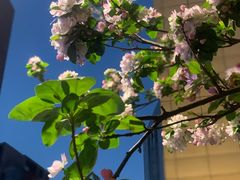 -天津水游城丽筠酒店