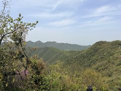 -午潮山国家森林公园