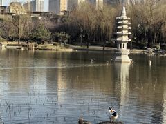 -木塔寺遗址生态公园