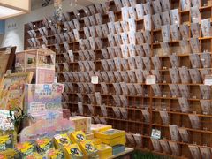 -猫的天空之城概念书店(束河店)