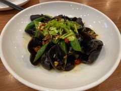 爽口木耳-晋家门(弘阳广场店)